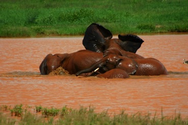kenya 096